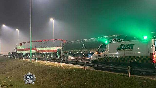 Niebla espesa