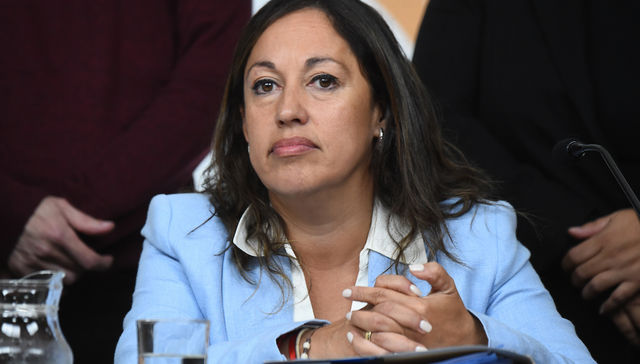 El avión, el avión… pudo llegar