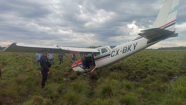 Con las alas plegadas