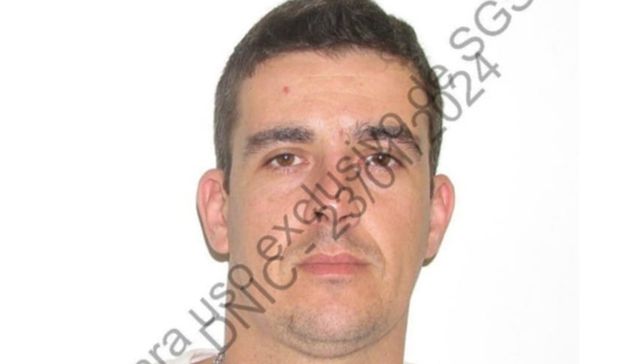 ¿Acaso lo ha visto?