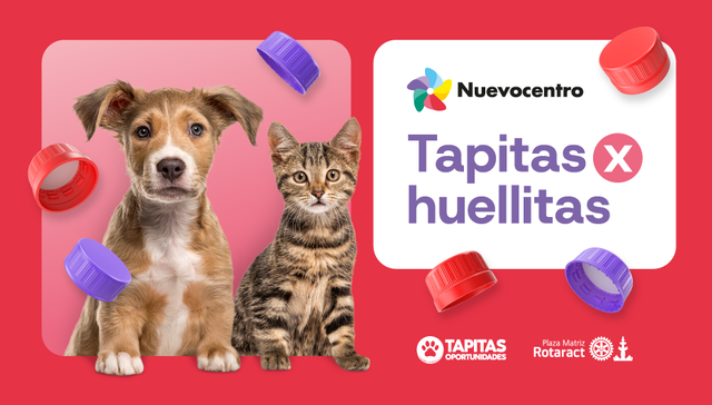 Campaña solidaria y sostenible