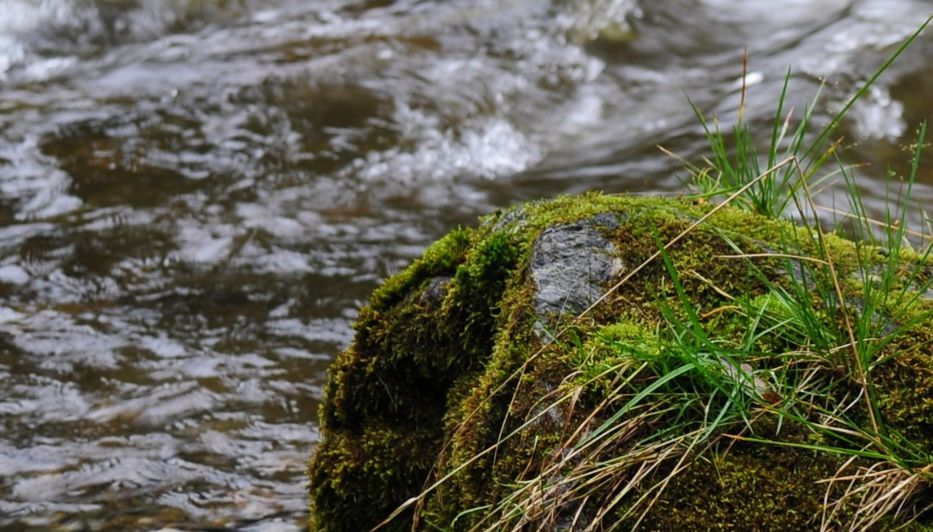 Último acto de amor