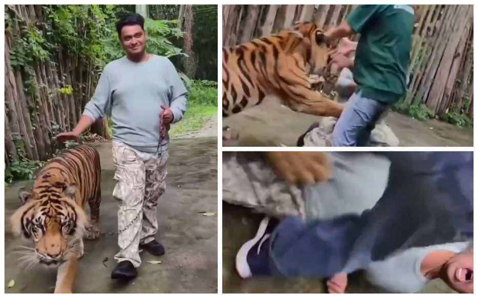 Más rápido que el flash