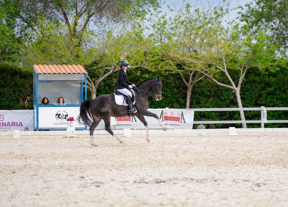 Foto: Andrea Rodríguez- @andrea.rodriguez.art