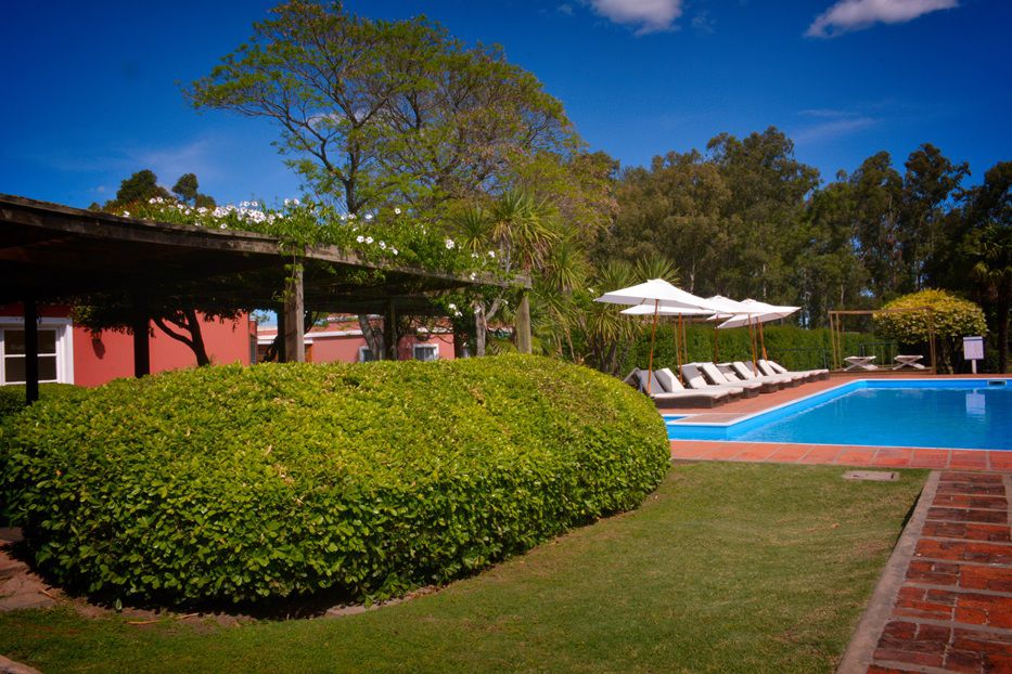 Foto: cedida a Montevideo Portal