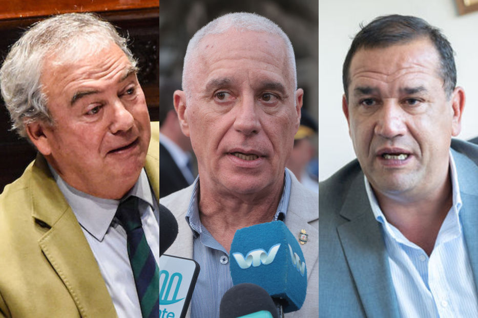 Sin pelos en la lengua