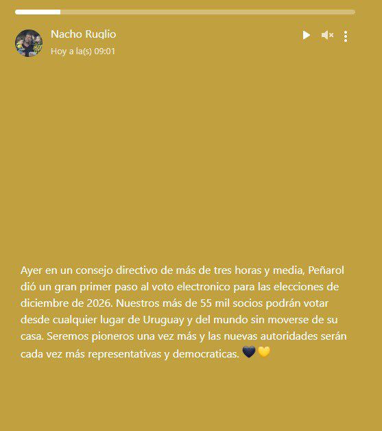 Foto: Estado de WhatsApp de Ignacio Ruglio