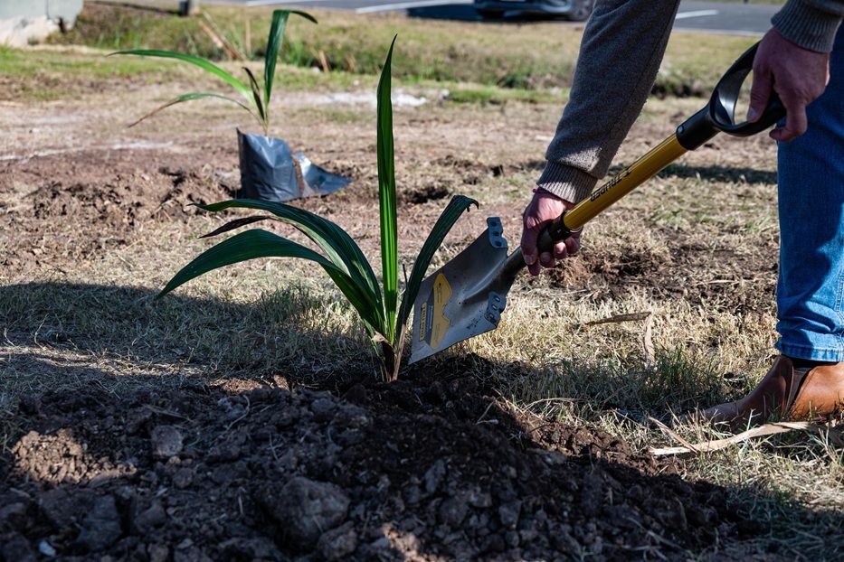 En el mes del Medio Ambiente