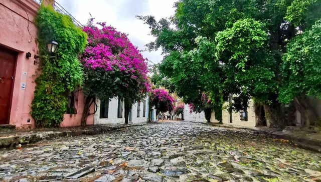 Entre el río y el desarrollo