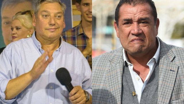 Entre vacas y pájaros