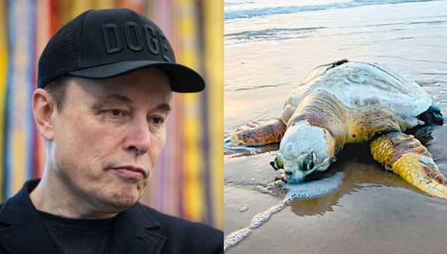 ¡Alguien piense en los bichos!