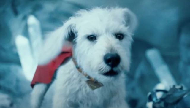 Lo veníamos diciendo