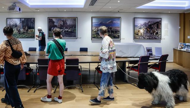 Para ir con Firulais