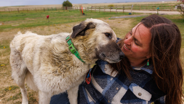 Por The New York Times