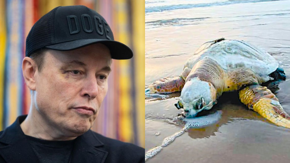 ¡Alguien piense en los bichos!