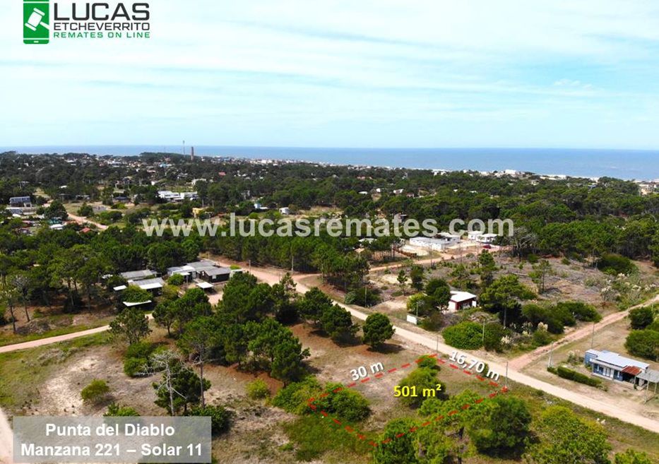 Foto: cedida a Montevideo Portal