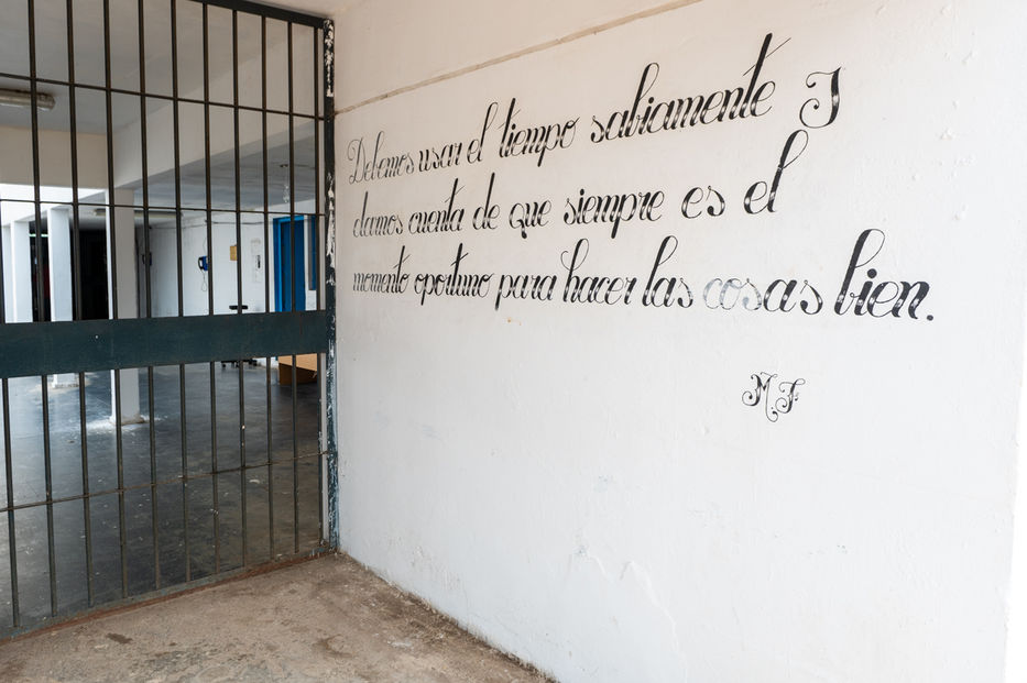 Foto: Javier Noceti/Montevideo Portal.