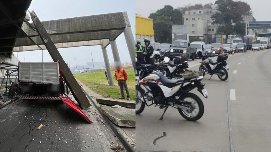 Que no panda el cúnico