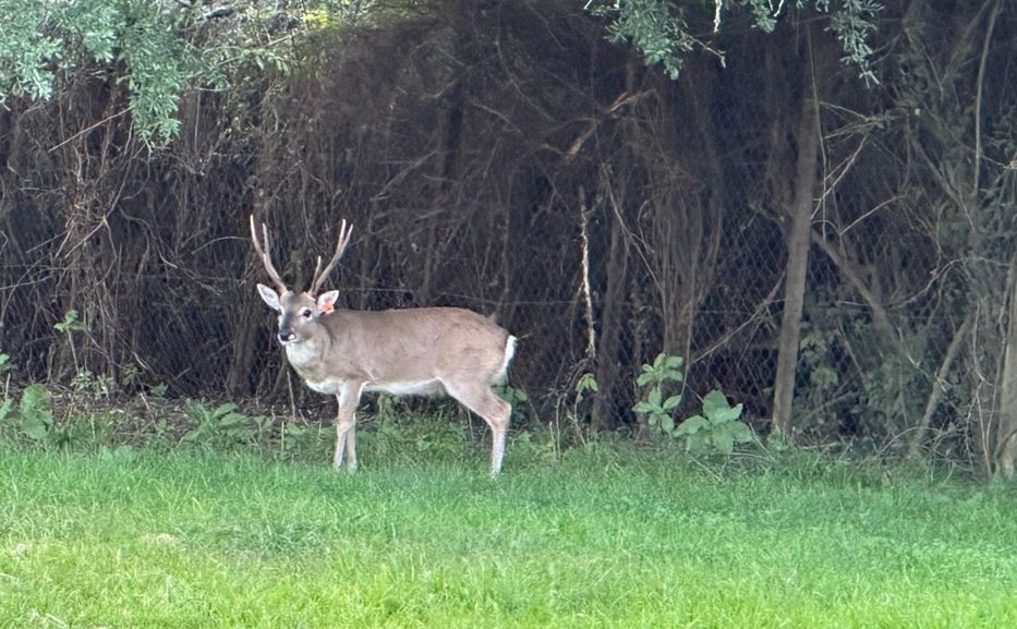 Y que no me digan en la esquina