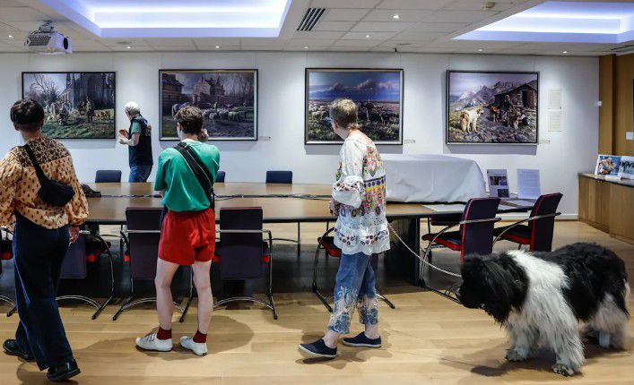 Para ir con Firulais