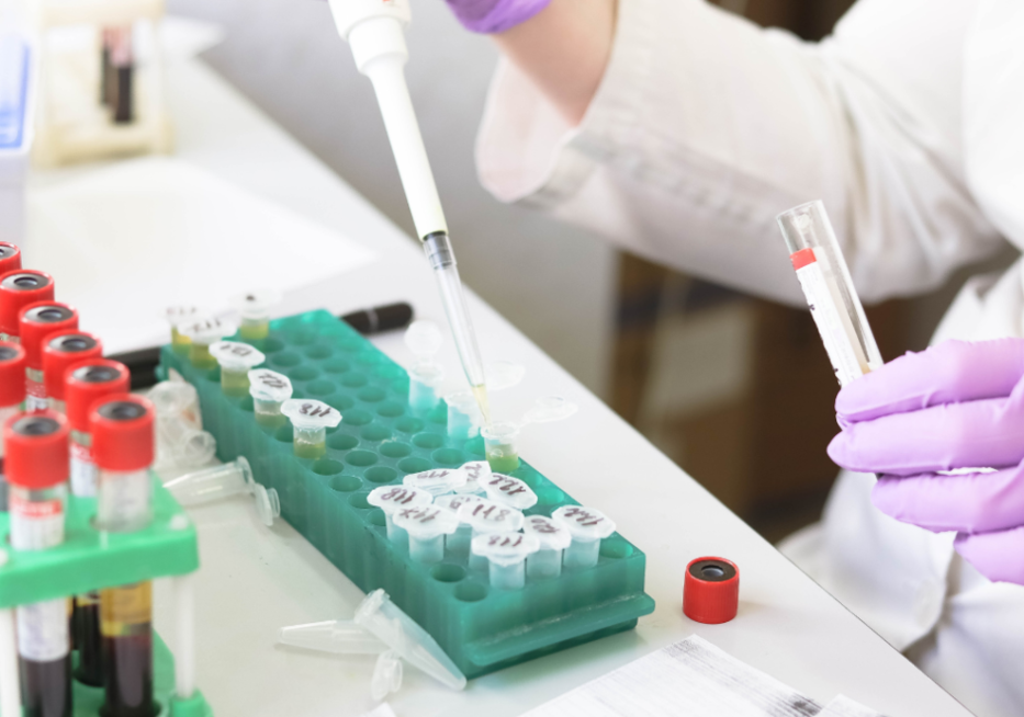 Ese es el doctor, no el monstruo