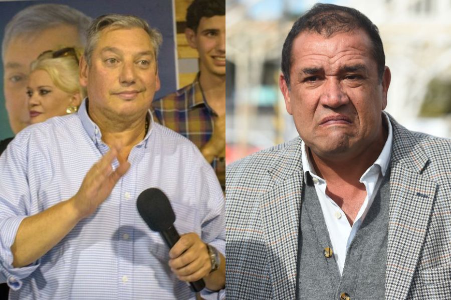 Entre vacas y pájaros