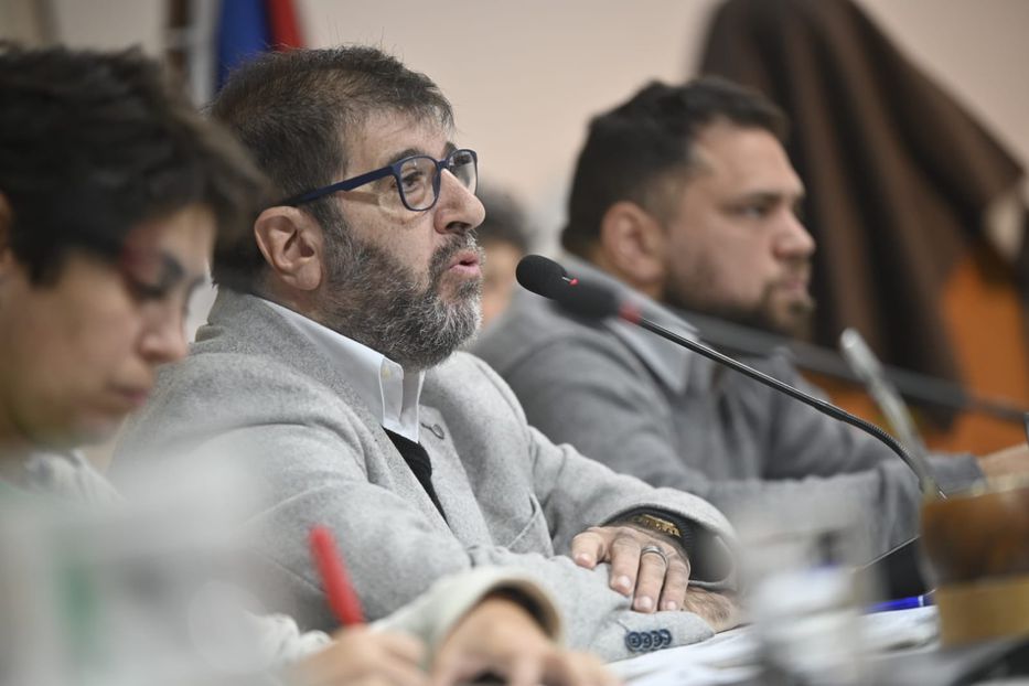 Fernando Pereira admitió que tributo a Temu incluido en presupuesto “es un impuesto nuevo”