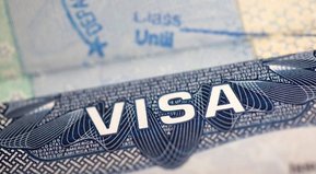 No fueron a-visa-dos