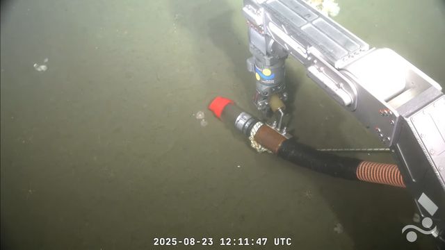 Terminó el primer stream de Uruguay Sub200 del fondo del mar; ¿a qué hora será el próximo?