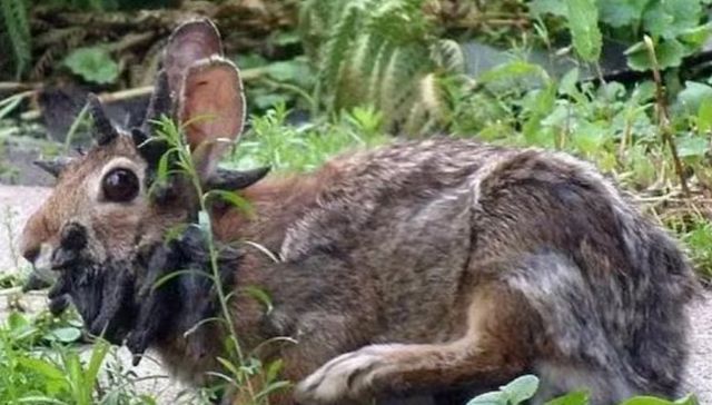 Por The New York Times