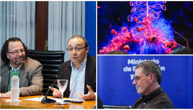 Traigan puertas que manijas sobran