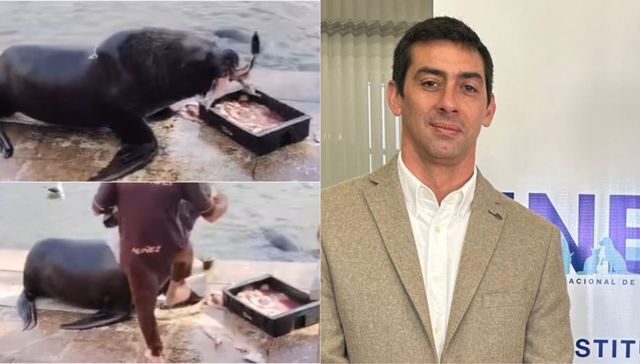 ¿Dormirá con los peces?