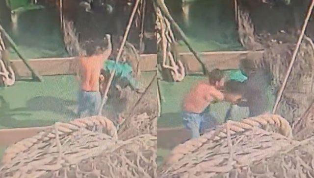 Piña va, piña viene