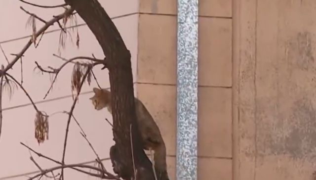 Cuando yo quiera, Karen