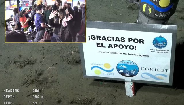 Qué lástima pero adiós