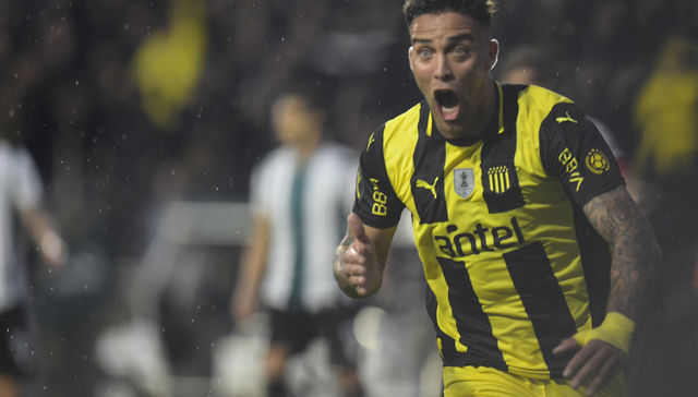 Sin pelos en la lengua