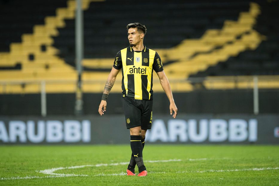 Por la plata baila el mono