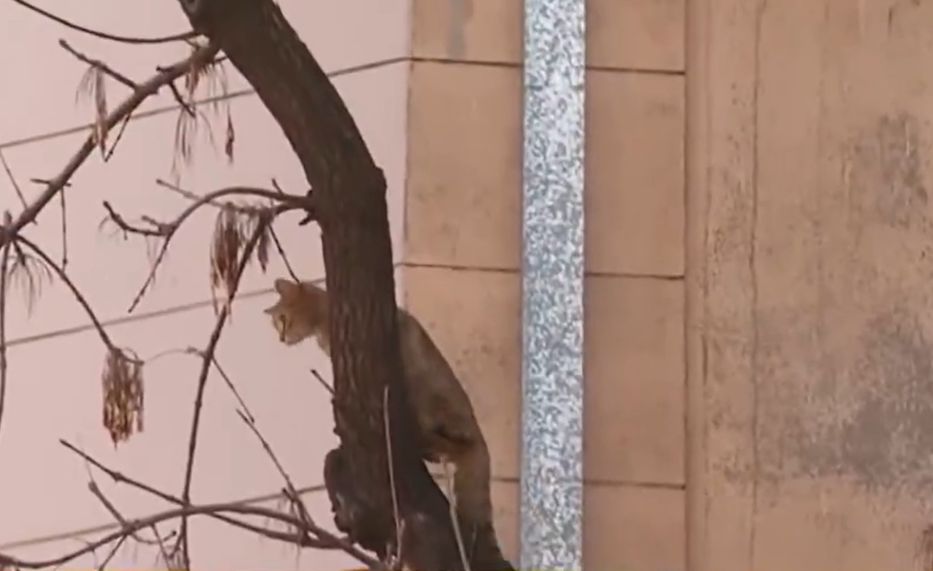 Cuando yo quiera, Karen