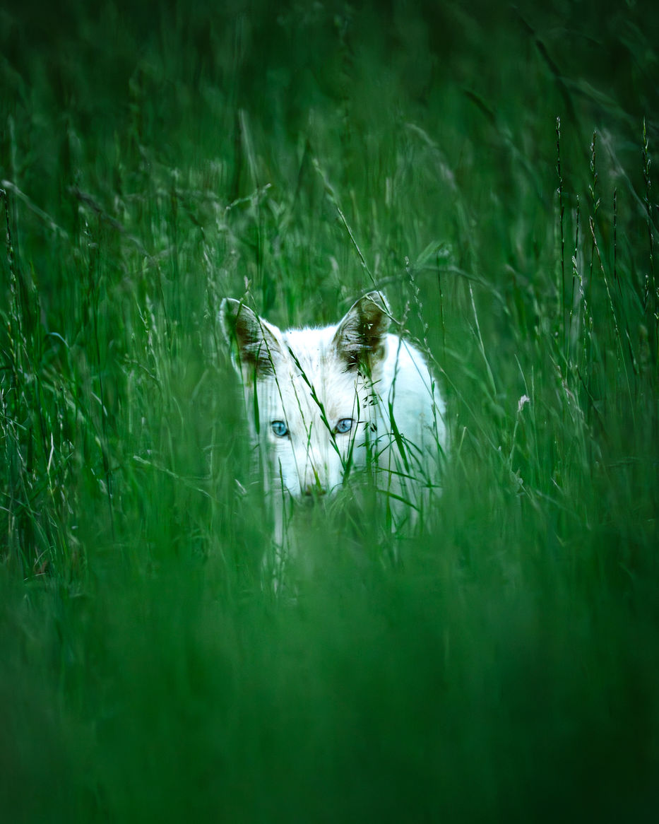 Dominik Reigl/LBV/dpa