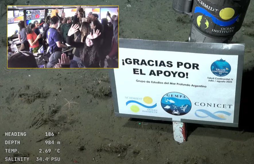 Qué lástima pero adiós