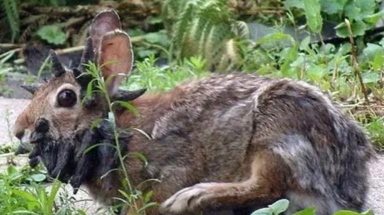 Por The New York Times