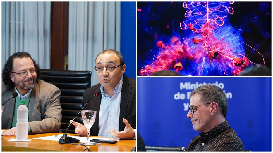 Traigan puertas que manijas sobran