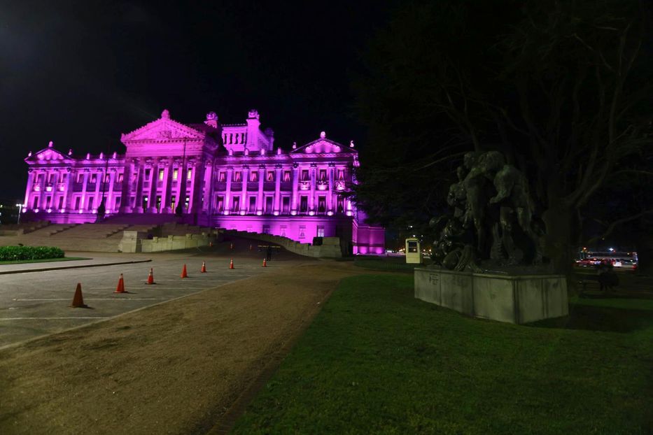 Iluminará, la nueva