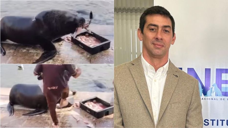 ¿Dormirá con los peces?