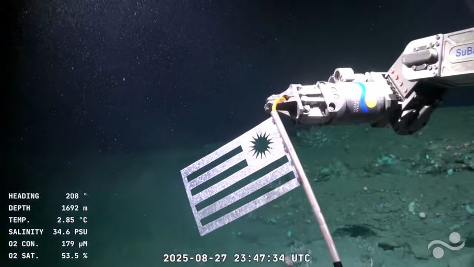 El brazo del ROV Subastian muestra la bandera uruguaya a la cámara de la transmisión en vivo. Foto: captura de pantalla de la transmisión en vivo / Schmidt Ocean Institute.