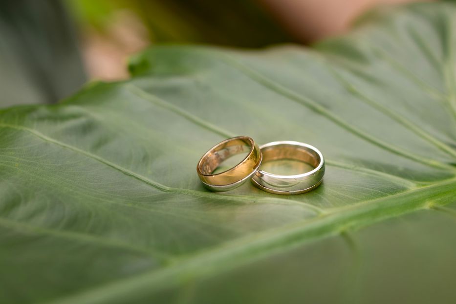 Relajo, pero con orden