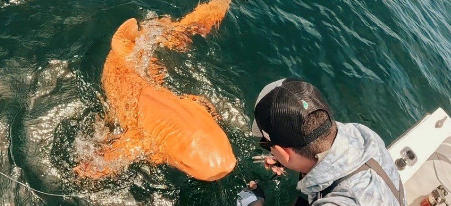 Por The New York Times