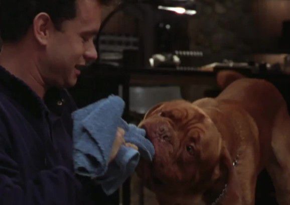 Por The New York Times