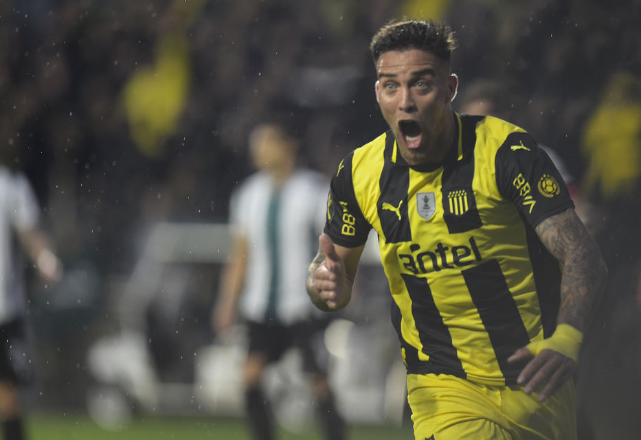 Sin pelos en la lengua