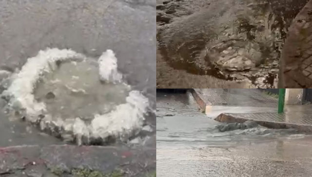 Lo que el agua devolvió